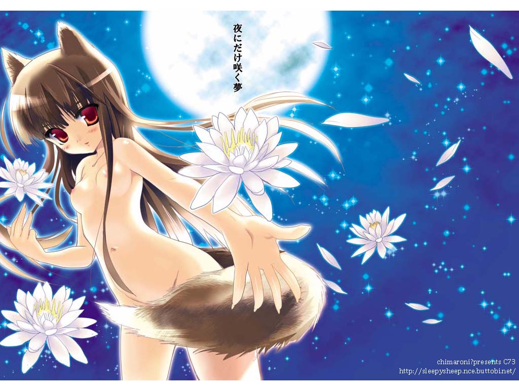 chimaro, holo, original, spice and wolf, 00s, 1girl, animal ears, cowboy shot, female focus, flower, full moon, lily pad, moon, night, night sky, nipples, nude, petals, sky, solo, tail, water lily flower, wolf ears, wolf tail