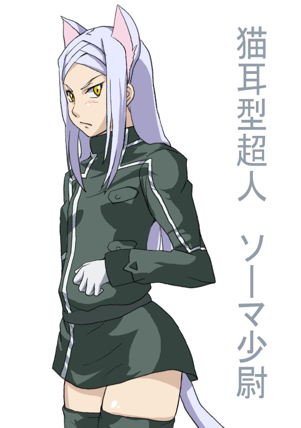 soma peries, gundam, gundam 00, silver hair, 00s, 1girl, animal ears, cat ears, cat tail, female focus, simple background, solo, tail, thighhighs, zettai ryouiki
