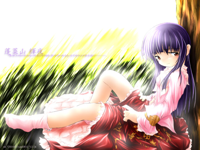 nobuyuki, houraisan kaguya, touhou, duplicate, 1girl, against tree, bare legs, blouse, clothes lift, dress, dress lift, female focus, from side, full body, grass, long hair, long sleeves, looking at viewer, looking to the side, pink socks, plant, purple eyes, purple hair, red skirt, shirt, sitting, skirt, socks, solo, tree
