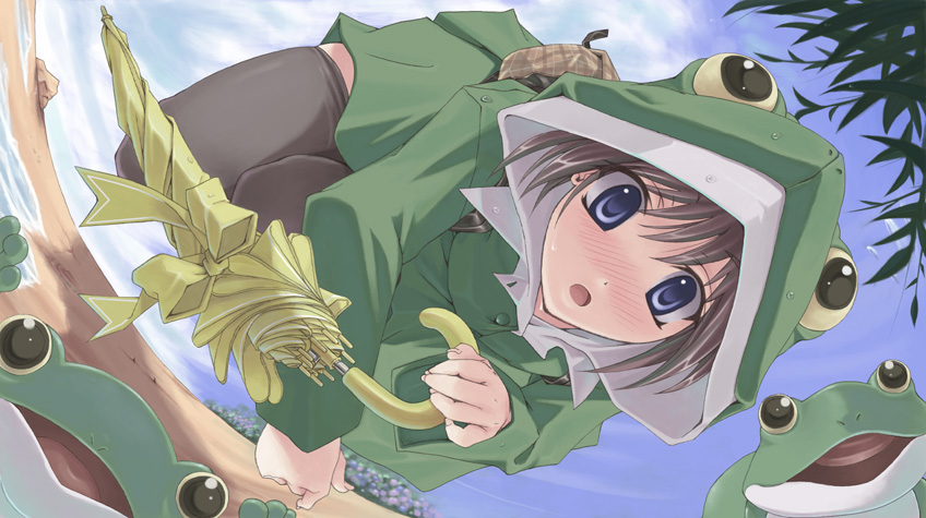 nakaizumi tatsuya, original, blue eyes, closed umbrella, flower, frog, frog raincoat, hydrangea, jacket, raincoat, short hair, solo, thighhighs, umbrella, zettai ryouiki
