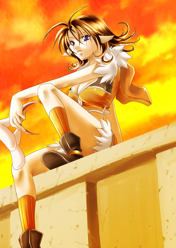 hanasakuraya, sniper (ragnarok online), ragnarok online, commentary request, 1girl, 2000s (style), animal ears, breasts, brown hair, brown shirt, brown shorts, cleavage, cloud, crop top, expressionless, fake animal ears, flipped hair, full body, fur-trimmed shirt, fur-trimmed shorts, fur trim, looking at viewer, medium breasts, on wall, orange sky, outdoors, parted lips, pointy ears, purple eyes, shirt, short hair, shorts, sitting, sky, sleeveless, sleeveless shirt, solo, sunset, two-tone shirt, unworn fake animal ears