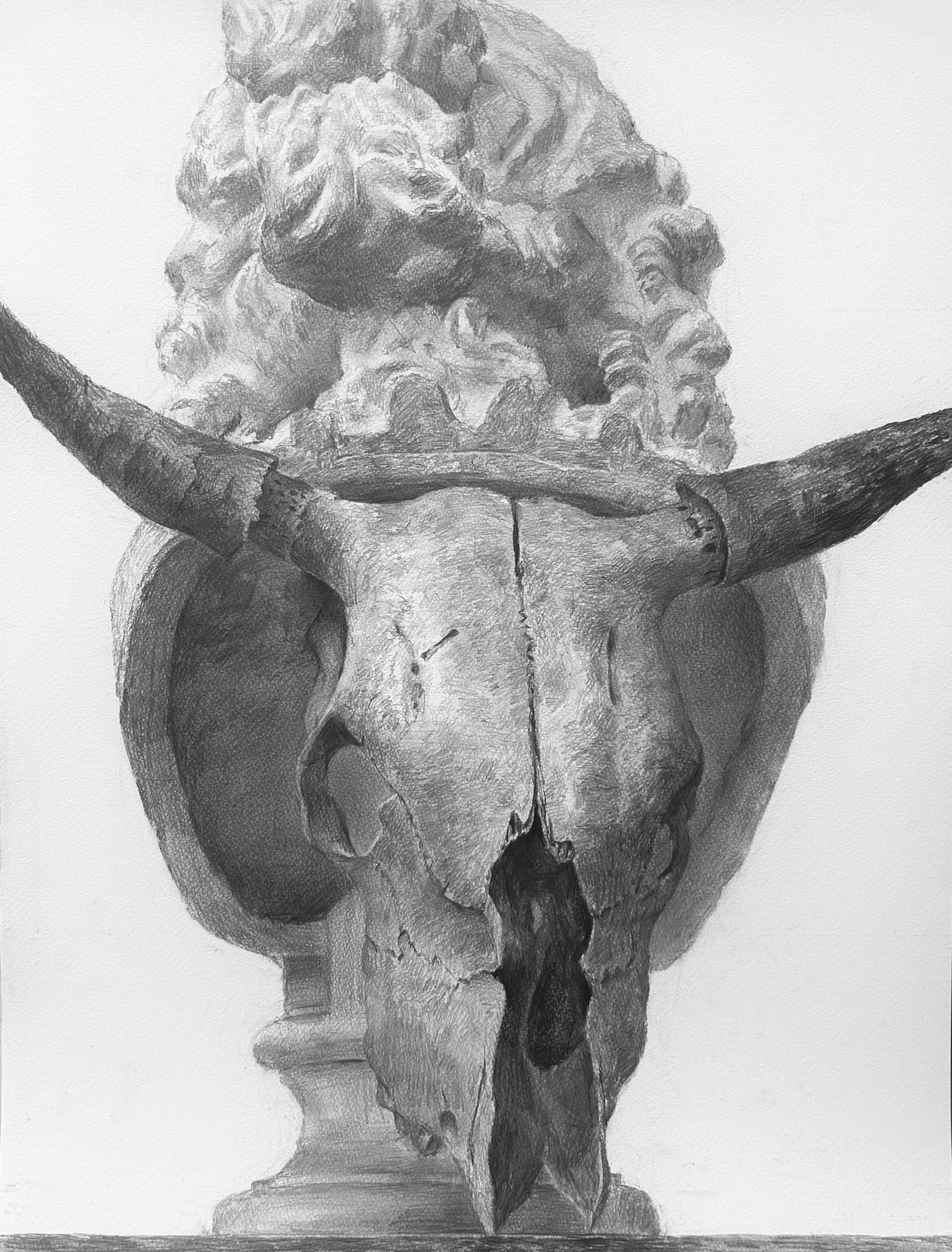 aoteka, original, commentary request, highres, animal skull, greyscale, monochrome, no humans, object focus, sketch
