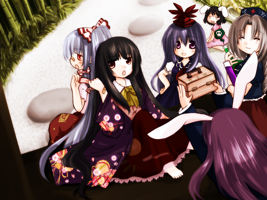 futami yayoi, fujiwara no mokou, houraisan kaguya, inaba tewi, kamishirasawa keine, reisen udongein inaba, yagokoro eirin, touhou, 6+girls, ^ ^, animal ears, back, closed eyes, everyone, female focus, long hair, multiple girls, rabbit ears, very long hair
