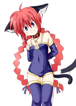 boshinote, vita (nanoha), lyrical nanoha, mahou shoujo lyrical nanoha, mahou shoujo lyrical nanoha a's, lowres, 00s, animal ears, cat ears, solo, thighhighs
