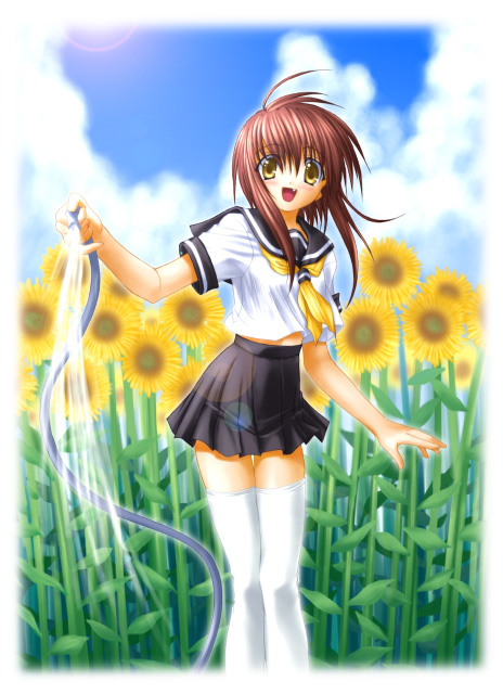 na-ga, 1girl, brown hair, fang, female focus, flower, hose, midriff, school uniform, serafuku, solo, sunflower, thighhighs, white thighhighs, yellow eyes, zettai ryouiki