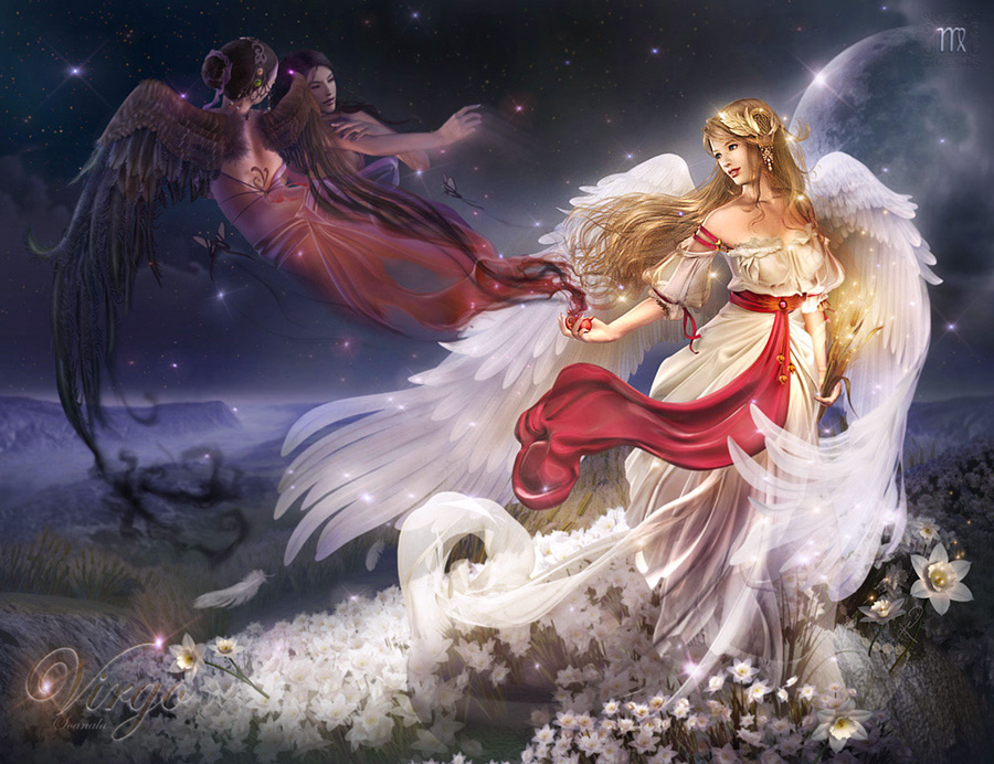 soa lee, tagme, flower, wings