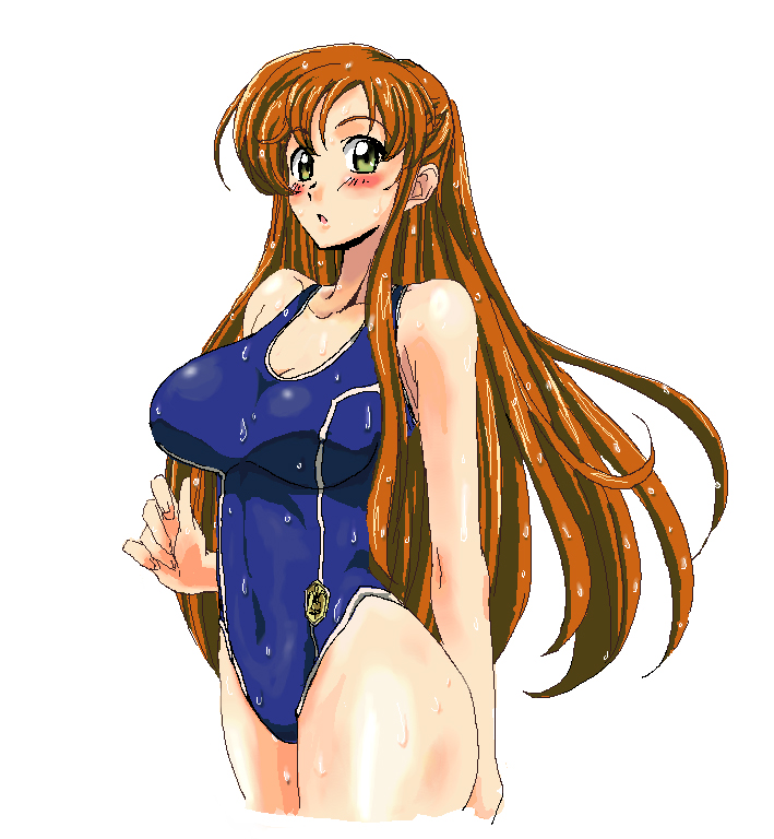 fujimoto satoru, shirley fenette, code geass, 00s, 1girl, breasts, brown hair, female focus, large breasts, long hair, one-piece swimsuit, simple background, single vertical stripe, solo, swimsuit, wet