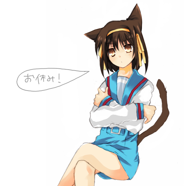 suzumiya haruhi, suzumiya haruhi no yuuutsu, tagme, 00s, animal ears, cat ears, cat tail, tail