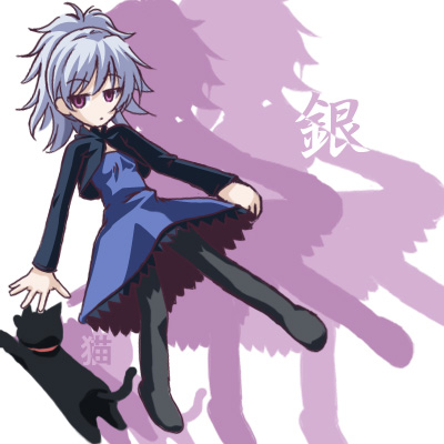 mao (darker than black), yin (darker than black), darker than black, lowres, 00s, 1girl, black cat, cat, collar, dress, female focus, grey hair, long sleeves, maroon eyes, ponytail, purple dress, solo, white background