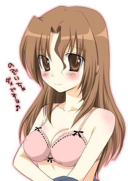 chany, maria (hayate no gotoku!), hayate no gotoku!, 00s, 1girl, bra, brown eyes, brown hair, female focus, lingerie, solo, underwear