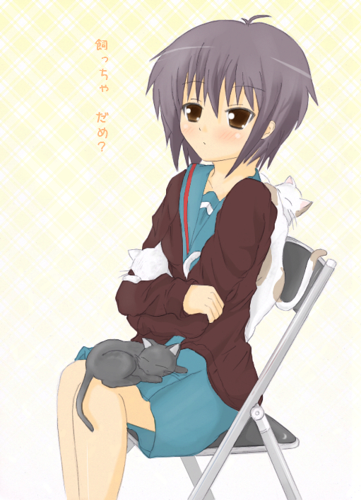 nagato yuki, suzumiya haruhi no yuuutsu, tagme, 00s, school uniform, serafuku