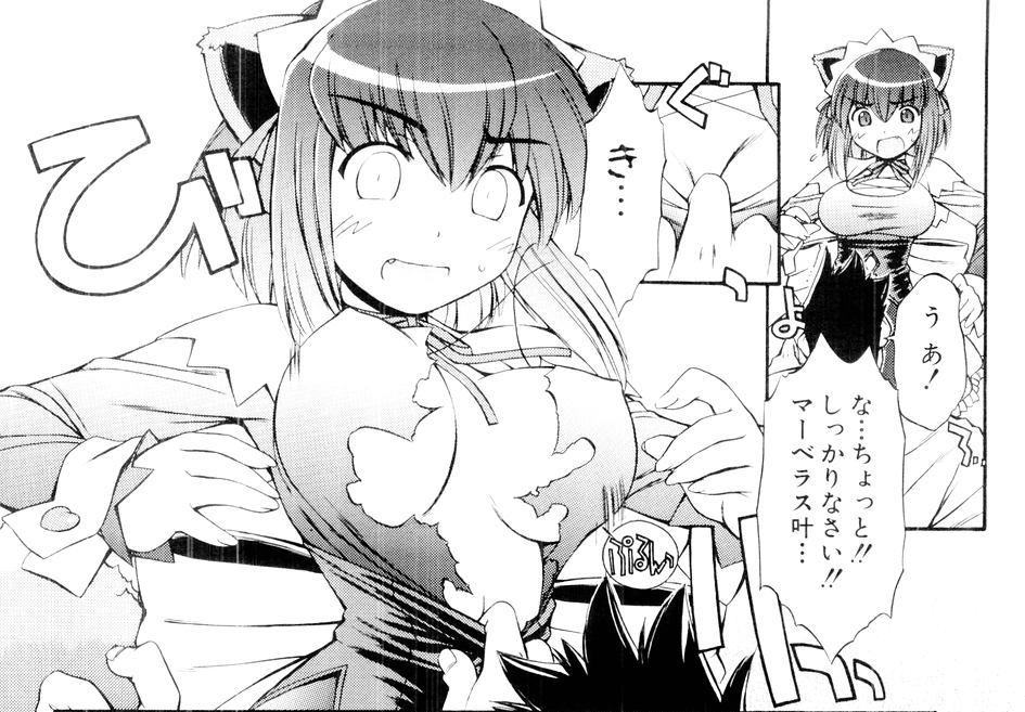 nakajima rei, kokubunji koyori, nurse witch komugi-chan, 00s, 1girl, animal ears, breasts, greyscale, large breasts, maid headdress, monochrome, torn clothes