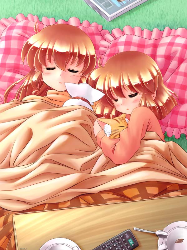 kotetsu, zan, original, 2girls, cat, frilled pillow, frills, kotatsu, multiple girls, pillow, remote control, siblings, sisters, sleeping, table