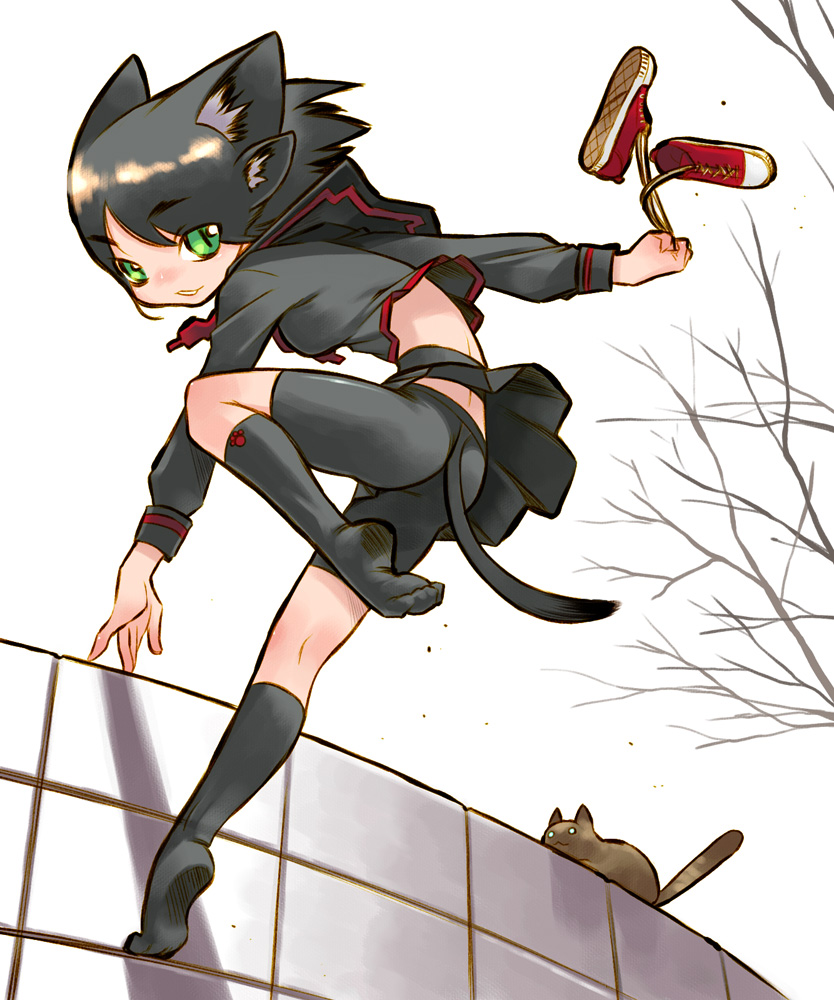 nakamura tetsuya, original, bad id, bad pixiv id, 1girl, animal ears, bike shorts, black hair, cat, cat ears, cat tail, feet, female focus, green eyes, nakamura testsuya, school uniform, serafuku, shoes, sneakers, socks, solo, tail