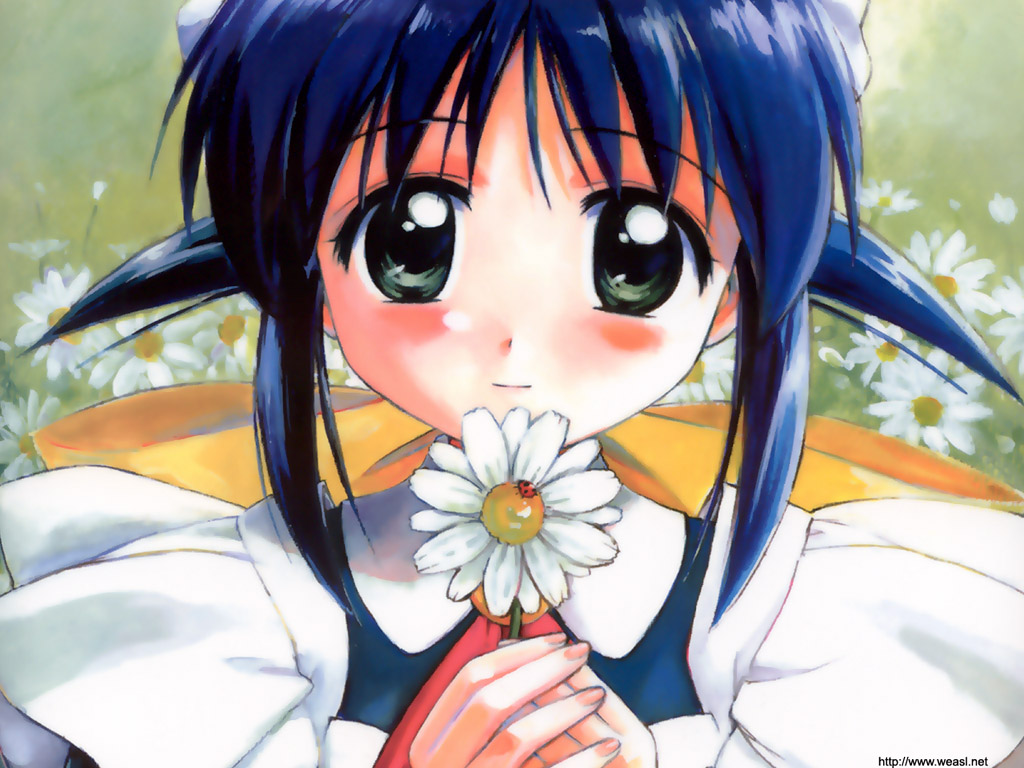 takamura kazuhiro, andou mahoro, mahoromatic, 1girl, apron, blue hair, blush, bow, bug, daisy (flower), female focus, flower, holding, holding flower, insect, ladybug, looking at viewer, maid, maid apron, solo, upper body, watermark, web address