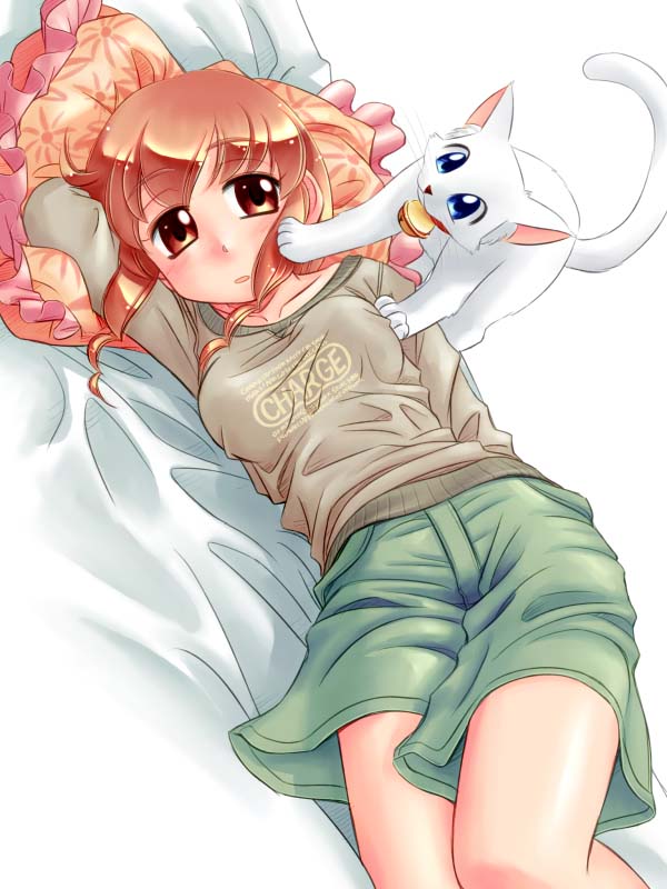 zan, original, 1girl, bed, cat, dog, female focus, frilled pillow, frills, glasses, pillow, sleepy, socks, solo