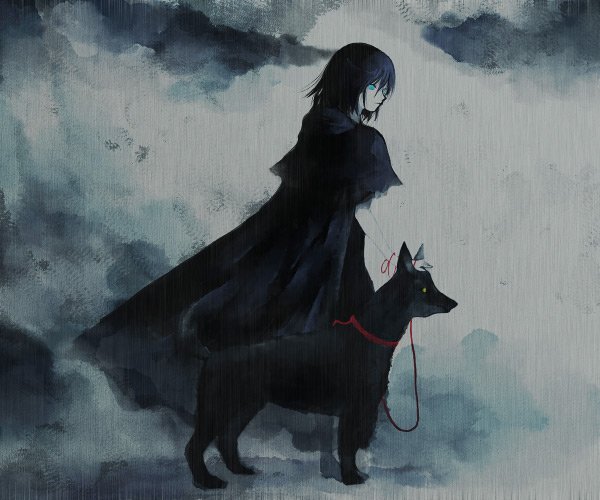 icc, bad id, bad pixiv id, tagme, blue eyes, cape, leash, solo, wolf