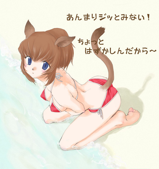 toroshio, mithra (ff11), final fantasy, final fantasy xi, translated, 00s, 1girl, animal ears, bad anatomy, bad feet, barefoot, bikini, blue eyes, brown hair, cat ears, cat girl, cat tail, feet, female focus, outdoors, poorly drawn, red bikini, side-tie bikini bottom, solo, swimsuit, tail