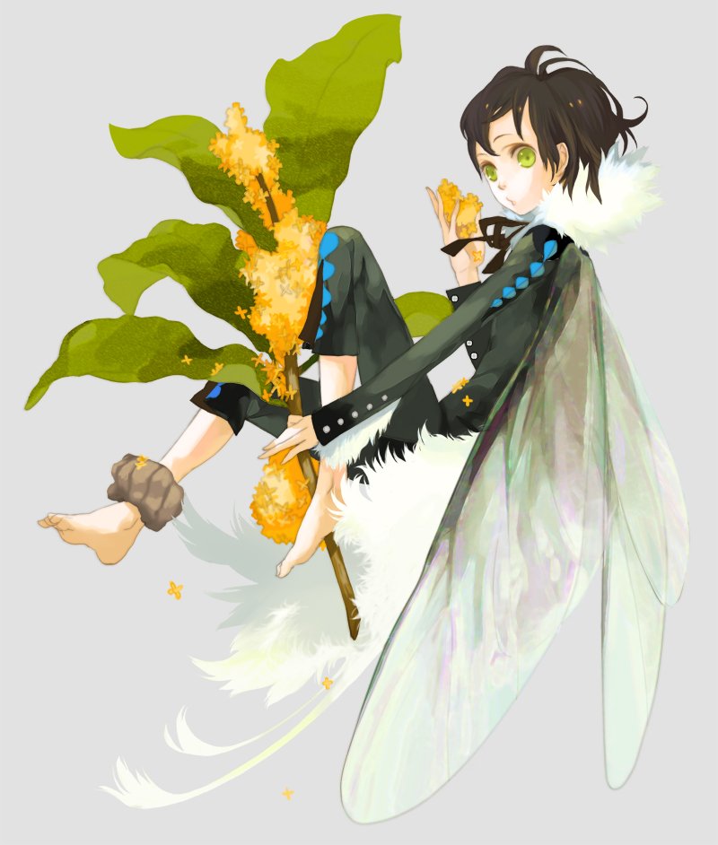 jimu kaji, kajimiya (kaji), bad id, bad pixiv id, flower request, 1girl, barefoot, black hair, black shirt, blouse, capri pants, fairy, female focus, flower, from side, full body, green eyes, grey background, pants, shirt, simple background, solo, wings