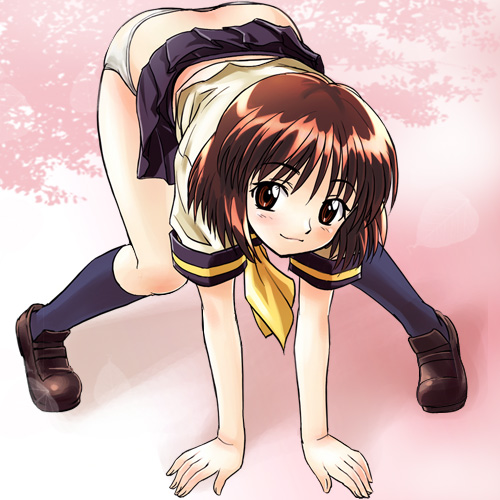 haruyama kazunori, herikawa koishi, onegai teacher, lowres, 00s, 1girl, :3, all fours, ass, clothes lift, female focus, full body, legs, outdoors, panties, plant, school uniform, serafuku, shoes, skirt, skirt lift, smile, socks, solo, spread legs, underwear
