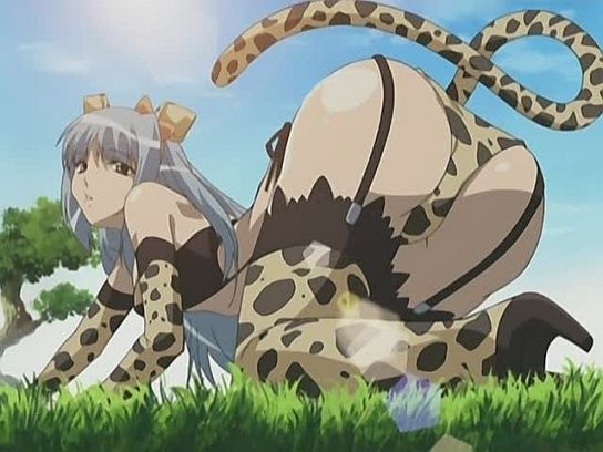 kurosu yuri, magikano, silver hair, game cg, non-web source, 00s, 1girl, all fours, animal ears, animal print, ass, bent over, bow, cloud, elbow gloves, female focus, garter straps, gloves, grass, hair bow, high heels, lens flare, leopard print, leopard tail, long hair, outdoors, sky, solo, tail, thighhighs, tree