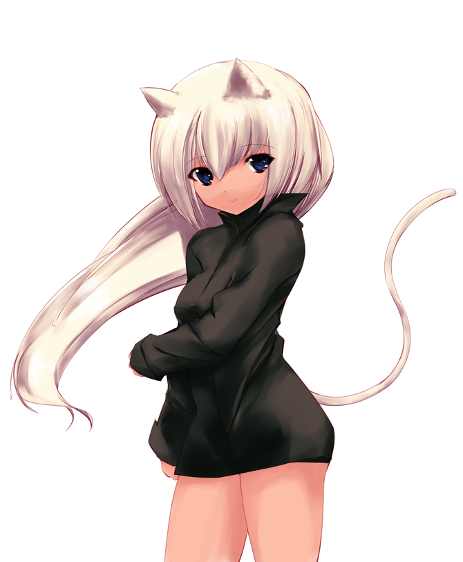 repair, 1girl, animal ears, bottomless, cat ears, cat tail, female focus, solo, tail, white hair