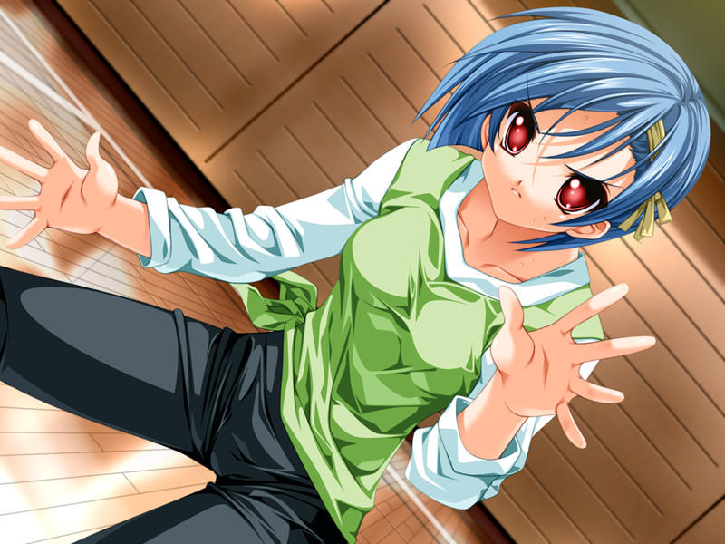 senomoto hisashi, z-epto (chat-noir86), tsubakihara ren, koisuru otome to shugo no tate, game cg, 1girl, blue hair, collarbone, dutch angle, female focus, fighting stance, gym, indoors, looking at viewer, pants, red eyes, short hair, solo, standing, tomboy, wooden floor