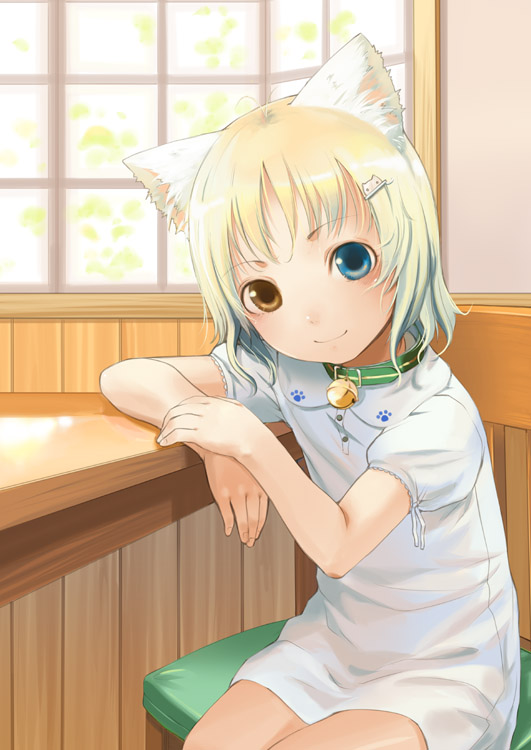 sody, original, 1girl, animal ears, cat ears, collar, female focus, heterochromia, solo