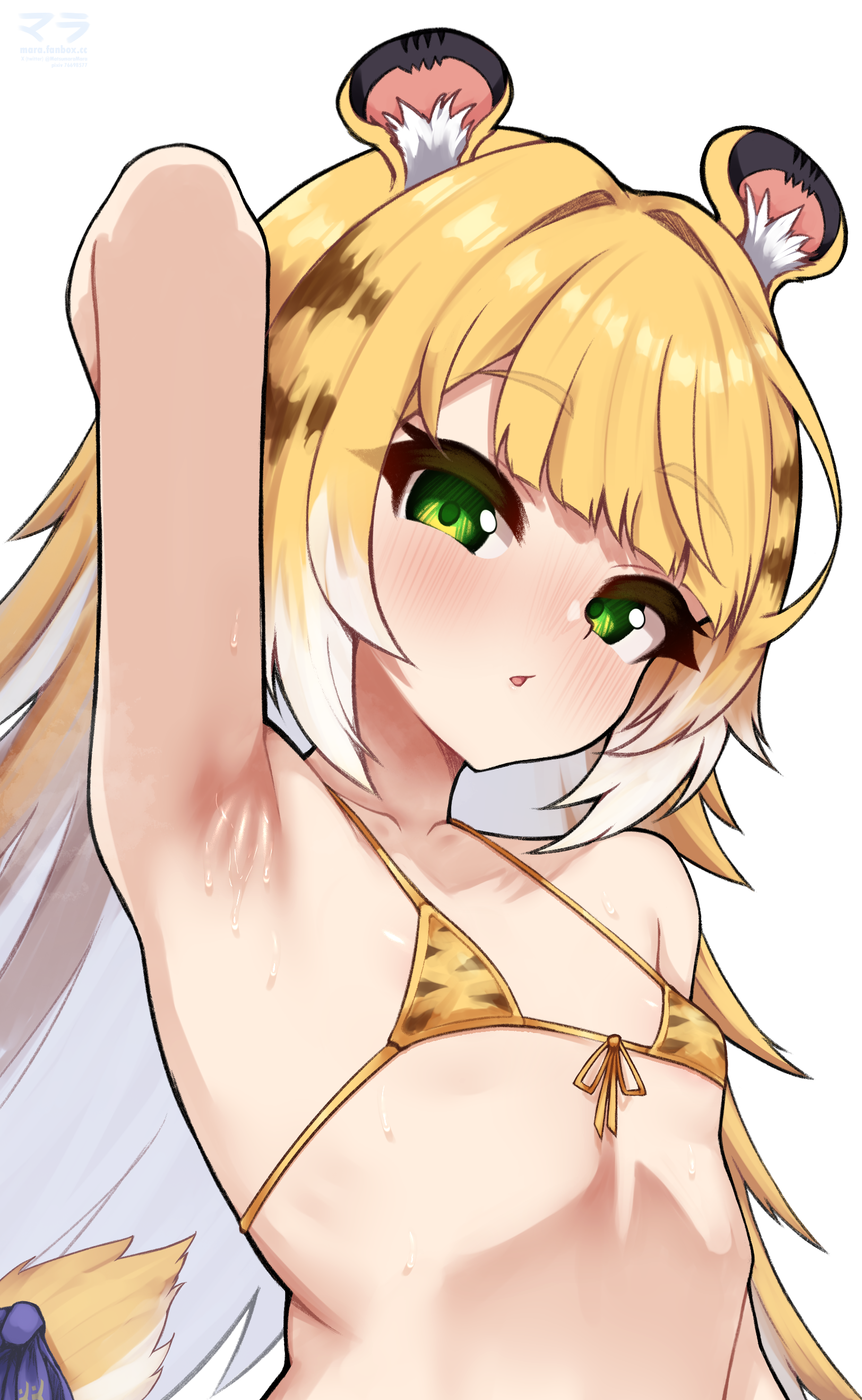 matsumaramara, ju fufu, zenless zone zero, absurdres, commentary, highres, paid reward available, 1girl, animal ears, animal print, armpits, bikini, blonde hair, green eyes, long hair, micro bikini, multicolored hair, simple background, solo, sweat, swimsuit, tail, tiger ears, tiger print, white background