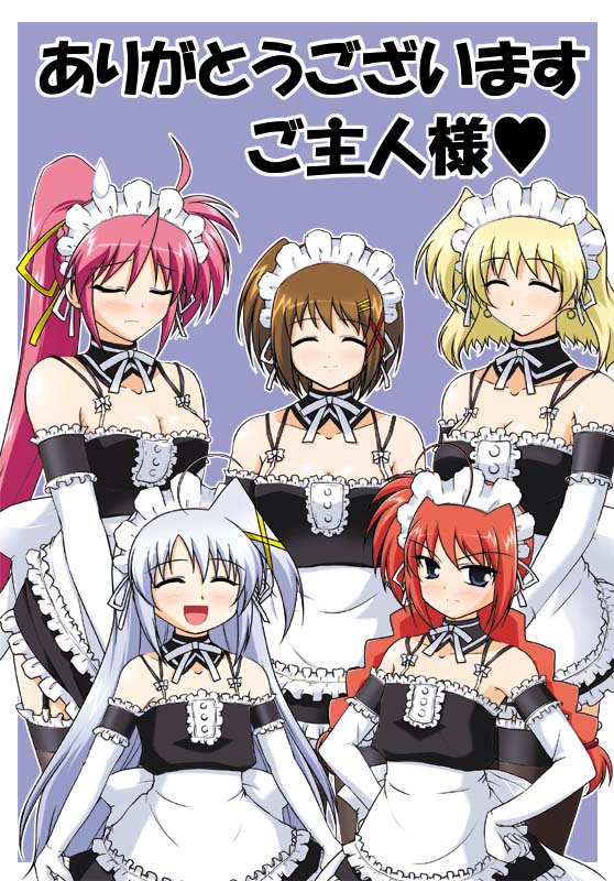 reinforce zwei, shamal, signum, vita (nanoha), yagami hayate, lyrical nanoha, mahou shoujo lyrical nanoha, mahou shoujo lyrical nanoha a's, mahou shoujo lyrical nanoha strikers, 00s, 5girls, blonde hair, blue hair, braid, breasts, brown hair, choker, cleavage, closed eyes, elbow gloves, gloves, long hair, maid, medium breasts, multiple girls, pink hair, ponytail, red hair, small breasts, thighhighs