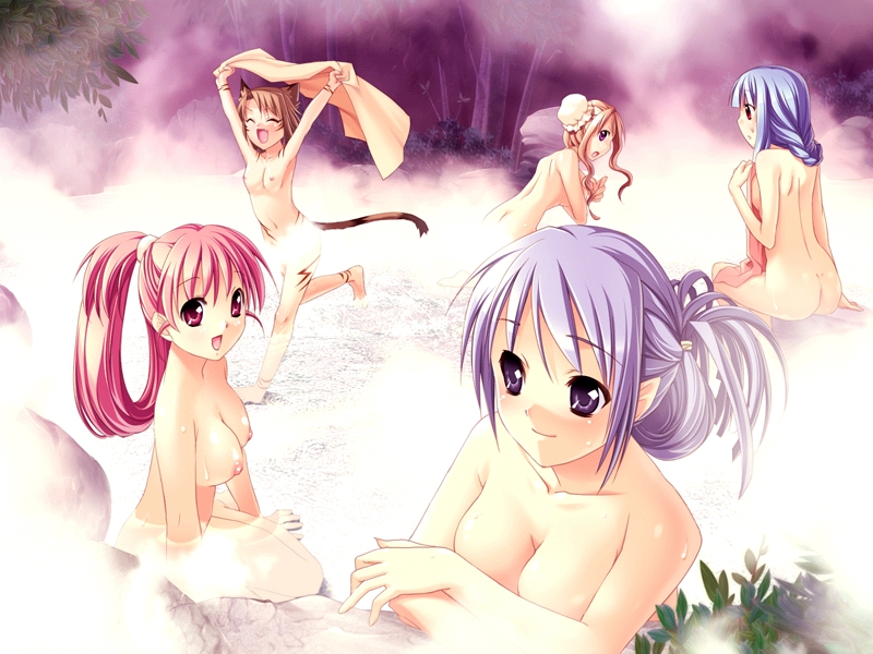 g munyo, charlotte greensvale, kounagisaka kaen, merue yunagiwal fereindash, niki nikka nien, vivian warufen, greensvale no mori no naka, game cg, source request, 5girls, animal ears, ass, bathing, blue hair, breasts, brown hair, censored, cleavage, closed eyes, convenient censoring, elf, flat chest, hair bun, large breasts, long hair, medium breasts, multiple girls, nipples, nude, onsen, pink hair, pointy ears, purple eyes, purple hair, red eyes, single hair bun, small breasts, steam, steam censor, tail, tattoo, towel, wet