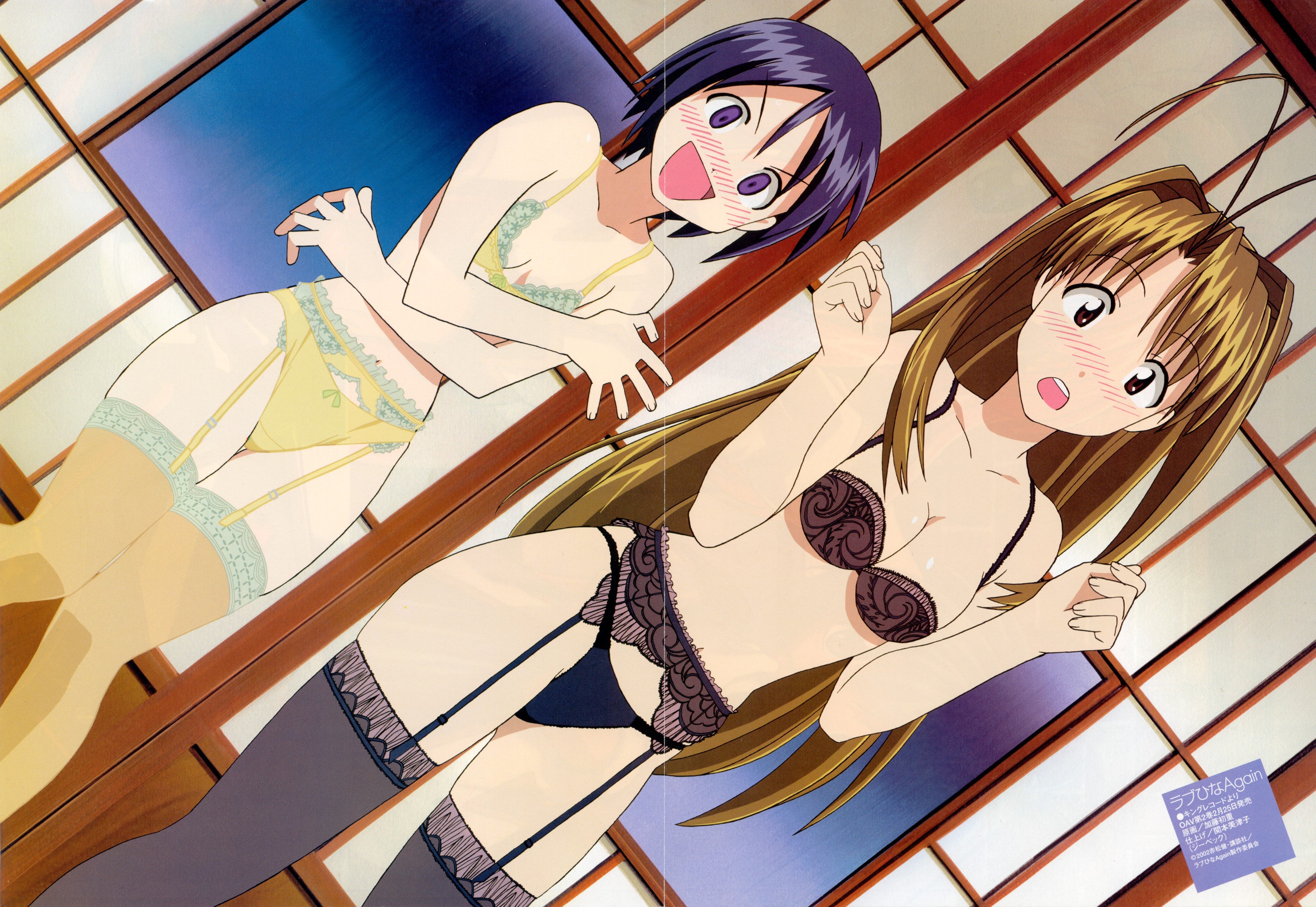 maehara shinobu, narusegawa naru, love hina, highres, official art, scan, 2girls, antenna hair, blush, bob cut, bra, breasts, brown eyes, brown hair, cleavage, crease, crossed arms, garter belt, lingerie, long hair, multiple girls, panties, purple eyes, thighhighs, underwear, underwear only