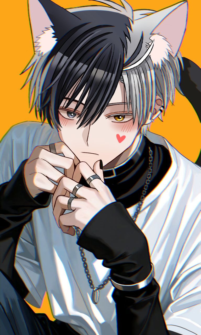 hyohls2 (hamao3o), sakura haruka (wind breaker), wind breaker (nii satoru), highres, 1boy, animal ears, black eyes, black hair, black pants, black shirt, blush, cat boy, cat ears, cat tail, chain, chain necklace, closed mouth, facial mark, grey hair, hair between eyes, heart, heart facial mark, heterochromia, jewelry, long sleeves, looking at viewer, male focus, multicolored hair, necklace, pants, ring, shirt, short hair, solo, split-color hair, tail, two-tone hair, white shirt, yellow background, yellow eyes