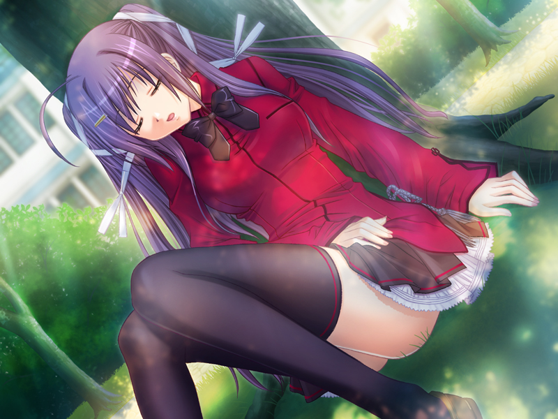 suzaki kiara, koisuru otome, game cg, source request, 1girl, against tree, ahoge, bow, closed eyes, dutch angle, female focus, hair ornament, hair ribbon, hairclip, long hair, open mouth, outdoors, purple hair, ribbon, school uniform, serafuku, sitting, skirt, sleeping, solo, thighhighs, tree, twintails, zettai ryouiki