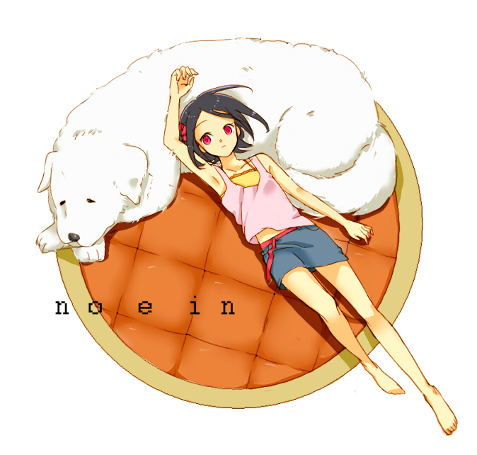 01 0219, kaminogi haruka, noein, 00s, armpits, bare shoulders, barefoot, belt, black hair, camisole, collarbone, dog, feet, halterneck, long legs, lying, on back, red eyes, skirt, solo