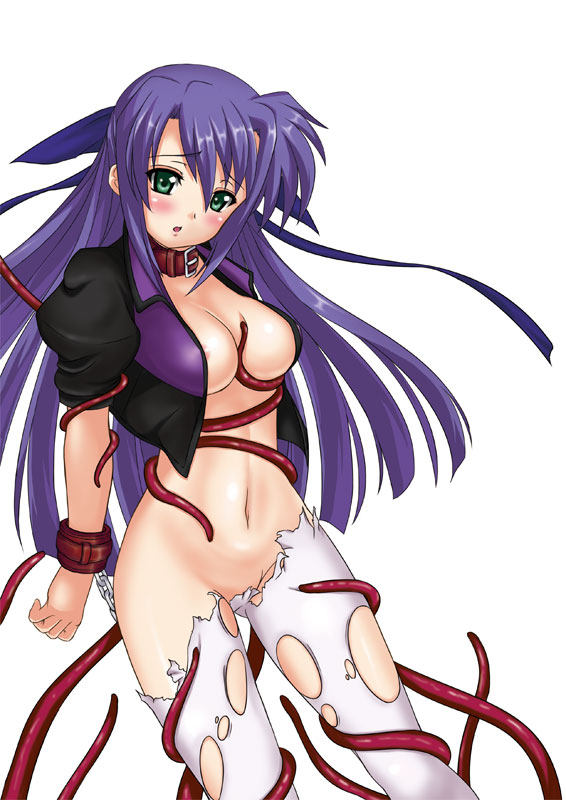 nagii, ginga nakajima, lyrical nanoha, mahou shoujo lyrical nanoha, mahou shoujo lyrical nanoha strikers, 00s, 1girl, breasts, cleavage, collar, female focus, green eyes, large breasts, nipple slip, nipples, open clothes, open shirt, purple hair, shirt, solo, tentacles, torn clothes