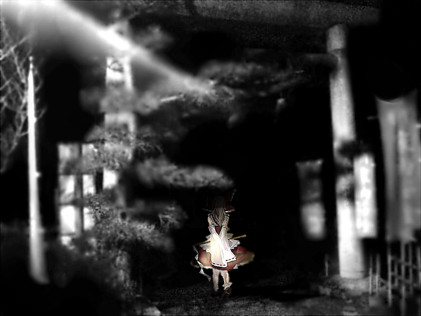 yoshioka yoshiko, hakurei reimu, touhou, 1girl, back, blurry, dark, depth of field, female focus, night, solo, walking