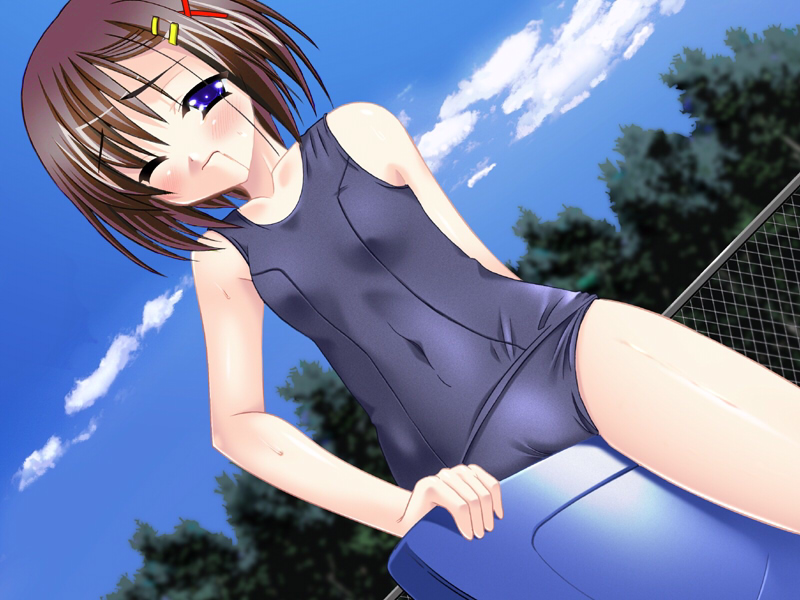 yagami hayate, lyrical nanoha, mahou shoujo lyrical nanoha, mahou shoujo lyrical nanoha a's, 00s, one-piece swimsuit, school swimsuit, solo, swimsuit