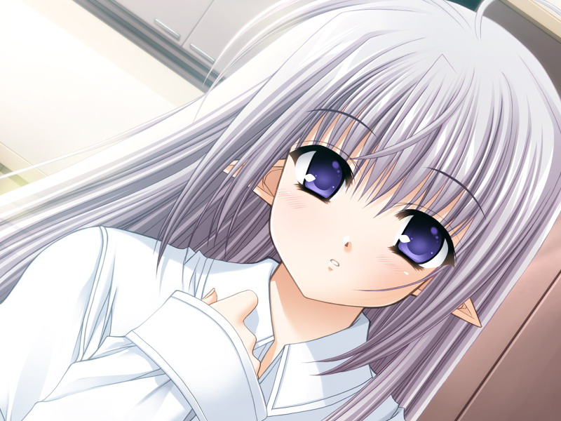 nishimata aoi, primula, shuffle!, eyebrows, non-web source, official art, 00s, 1girl, ahoge, blue eyes, blush, female focus, indoors, long hair, looking at viewer, pointy ears, purple eyes, solo, white hair
