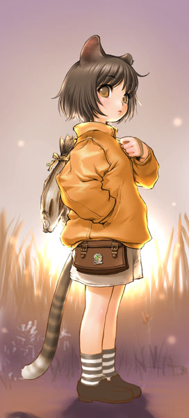 sano toshihide, original, 1girl, animal ears, bag, black hair, bob cut, brown hair, cat ears, cat tail, child, female focus, fish, flat chest, grass, hand in pocket, jacket, loafers, looking back, orange eyes, outdoors, shoes, short hair, shorts, sky, socks, solo, standing, striped clothes, striped socks, sun, sunset, tail
