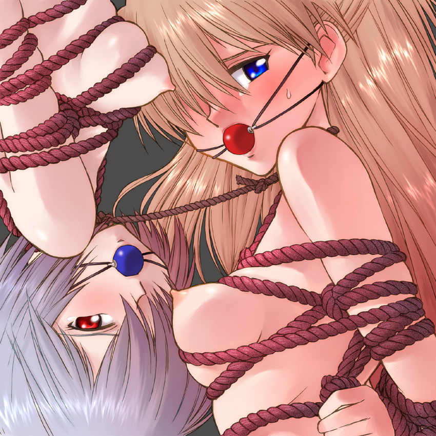 kikumaru bunta, ayanami rei, souryuu asuka langley, neon genesis evangelion, 2girls, arms behind back, ball gag, bdsm, blue eyes, blush, bondage, bound, bound together, breast bondage, breasts, female focus, gag, gagged, medium breasts, multiple girls, nipples, nude, red eyes, rope, rotational symmetry, shibari, tears, upper body