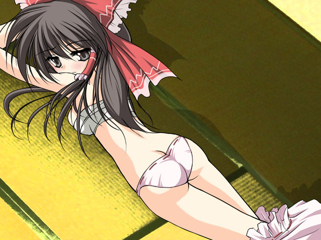 danshaku, hakurei reimu, touhou, 1girl, ass, breasts, butt crack, female focus, looking back, panties, sarashi, solo, underwear