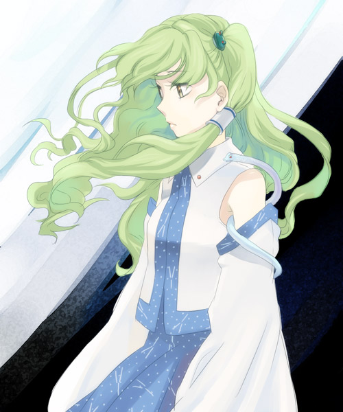 umishima senbon, kochiya sanae, touhou, looking away, 1girl, blue skirt, detached sleeves, female focus, frog hair ornament, green hair, hair ornament, hair tubes, long hair, long sleeves, skirt, skirt set, snake, solo, yellow eyes