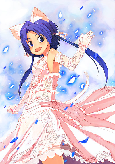 shuzoku fumei, original, tagme, animal ears, cat ears, elbow gloves, gloves, solo