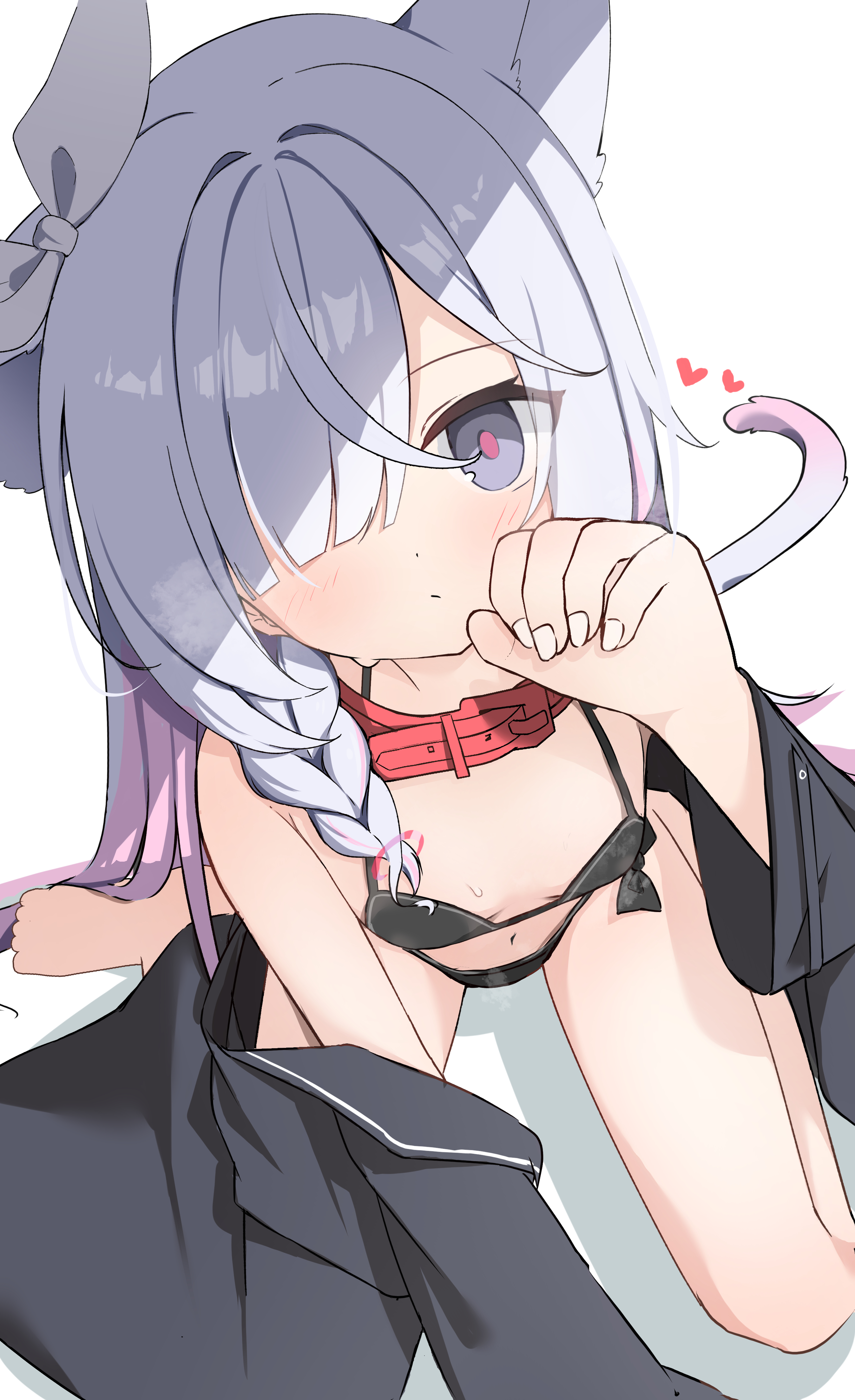 moepu., plana (blue archive), blue archive, absurdres, commentary, highres, 1girl, animal ears, bikini, braid, cat ears, cat tail, collar, hair over one eye, heart, jacket, long hair, looking at viewer, micro bikini, multicolored hair, off shoulder, open clothes, open jacket, paw pose, ribbon, side braid, solo, swimsuit, tail, white hair