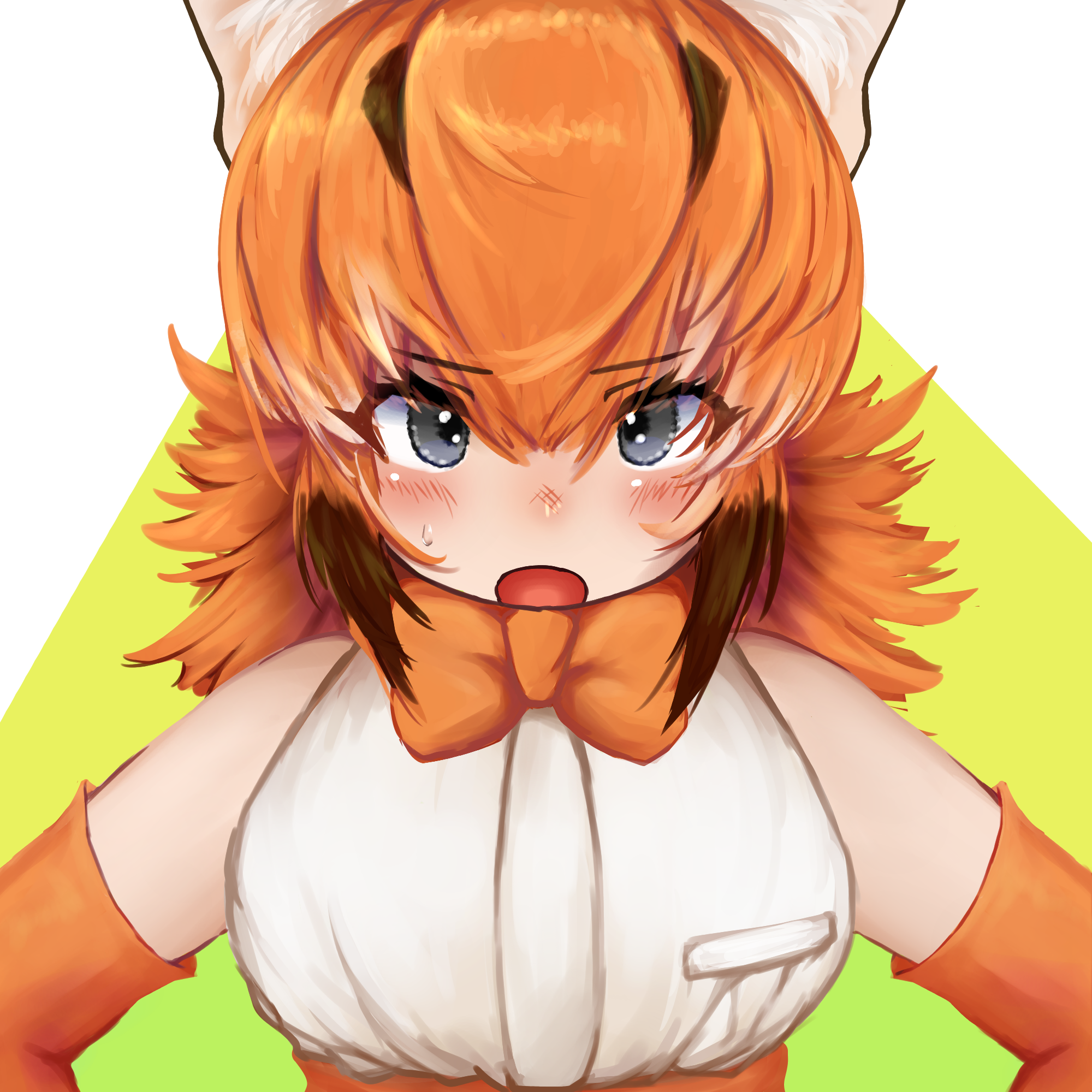 takara (takara0508), caracal (kemono friends), kemono friends, commentary request, highres, 1girl, blush, bow, bowtie, breasts, brown hair, elbow gloves, gloves, green background, grey eyes, hair between eyes, looking at viewer, medium breasts, medium hair, multicolored hair, open mouth, orange bow, orange bowtie, orange gloves, orange hair, shirt, sleeveless, sleeveless shirt, solo, tented shirt, two-tone hair, upper body, white background, white shirt