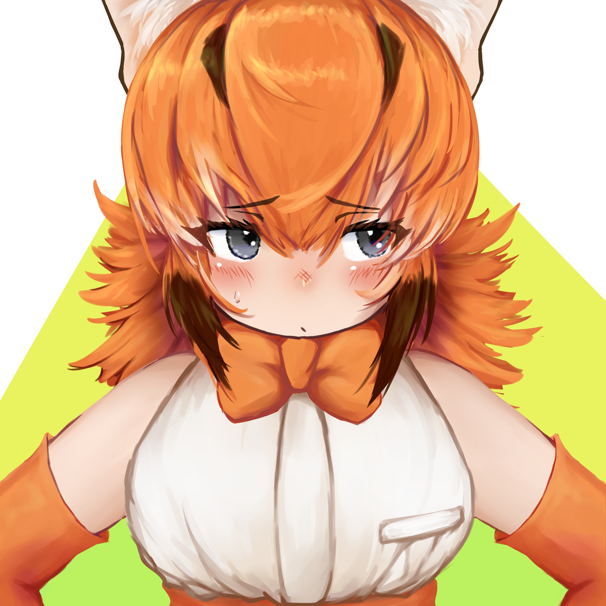 takara (takara0508), caracal (kemono friends), kemono friends, commentary request, highres, 1girl, blush, bow, bowtie, breasts, brown hair, closed mouth, elbow gloves, gloves, green background, grey eyes, hair between eyes, looking afar, looking to the side, medium breasts, medium hair, multicolored hair, open mouth, orange bow, orange bowtie, orange gloves, orange hair, shirt, sleeveless, sleeveless shirt, solo, tented shirt, two-tone hair, upper body, white background, white shirt
