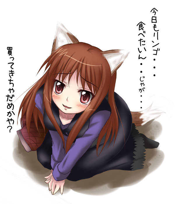 tekehiro, holo, spice and wolf, translation request, 00s, animal ears, from above, solo, tail, wolf ears, wolf tail