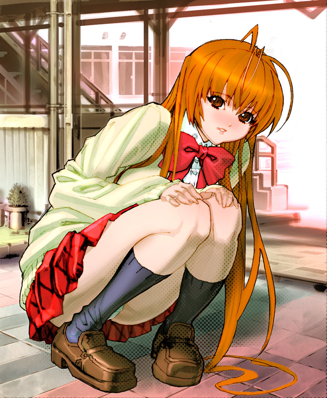 sanbasou, kasumi (doa), dead or alive, tecmo, bad id, bad pixiv id, 1girl, brown eyes, brown hair, female focus, panties, pantyshot, skirt, solo, squatting, underwear
