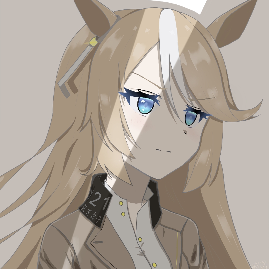 hide21find57, original, umamusume, commentary request, 1girl, animal ears, blue eyes, brown hair, brown jacket, closed mouth, grey background, horse ears, jacket, long hair, multicolored hair, open clothes, open jacket, shirt, simple background, solo, two-tone hair, upper body, white hair, white shirt